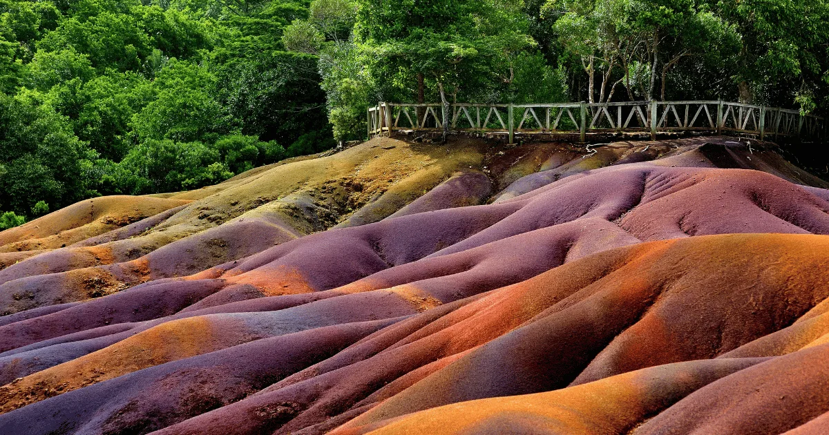 coloured chamarel