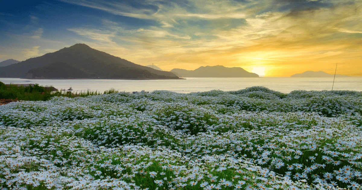 Shikoku island