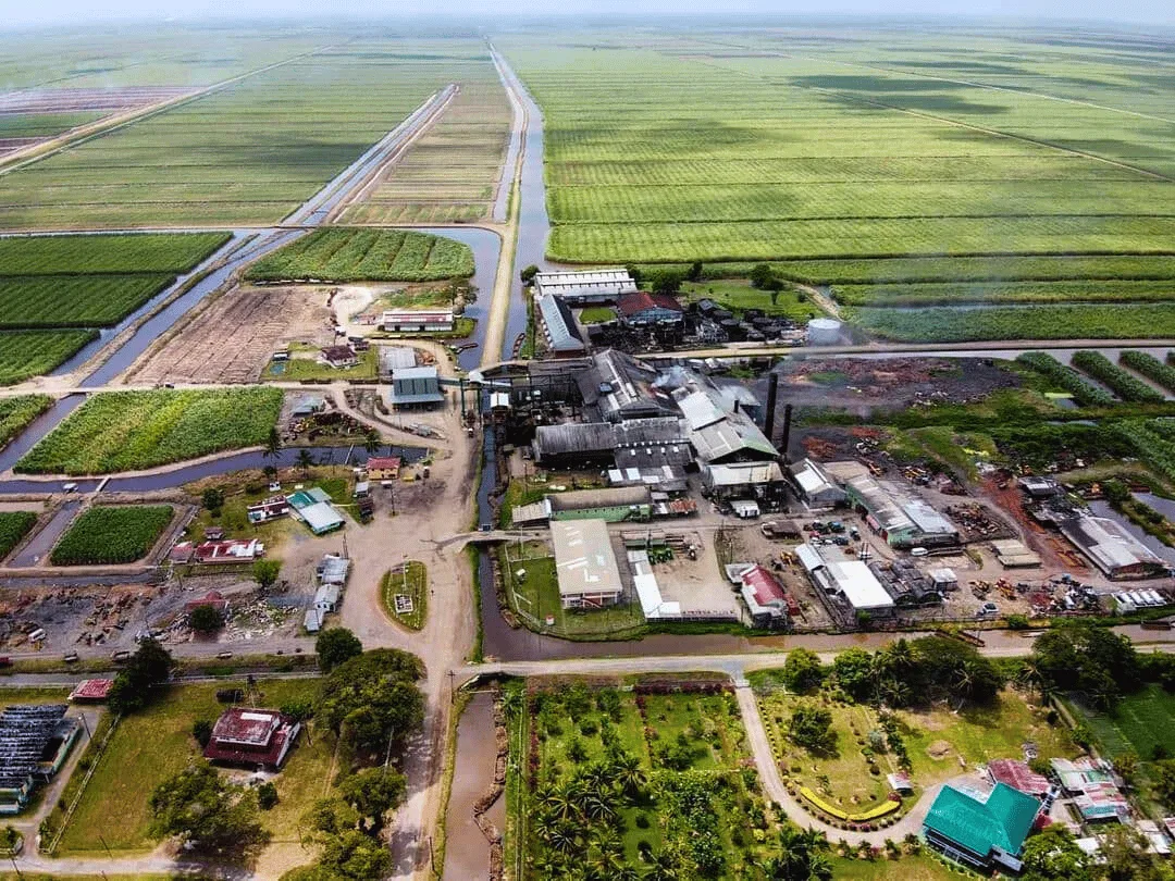 Uitvlugt Sugar Estate