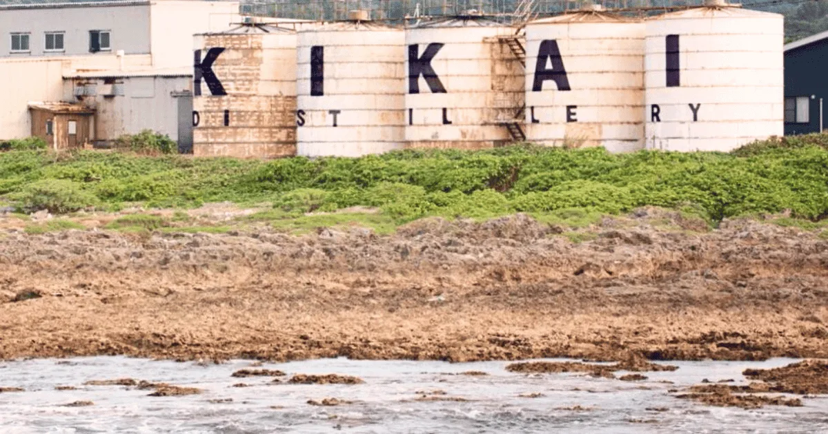 kikai rum