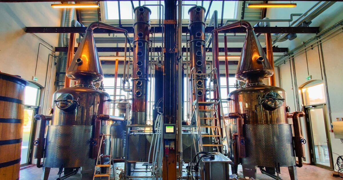 A Clean Spirit stills