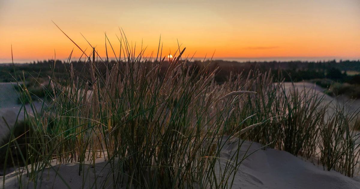 sunset denmark