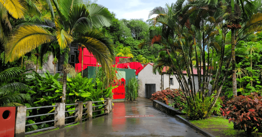 WHY AND HOW WE MAPPED THE RUM WORLD Why and How We Mapped the Rum World
