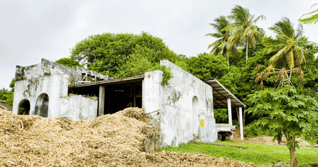 HISTORY OF RUM History of Rum