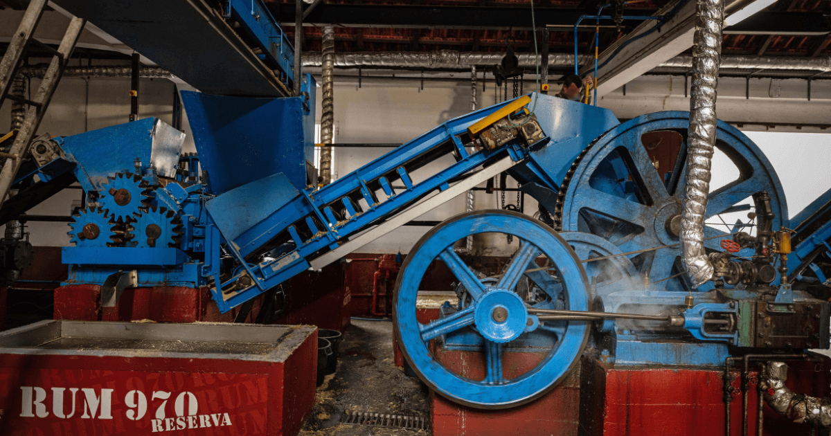 A BEGINNER'S GUIDE TO MADEIRA RUM Madeira cane crushing
