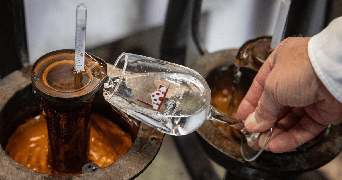 A BEGINNER'S GUIDE TO MADEIRA RUM Madeira Rum off the still