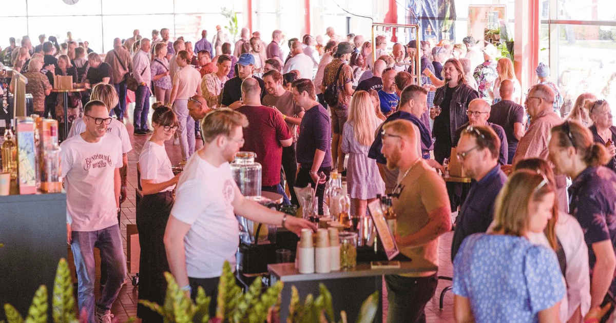 festival crowd