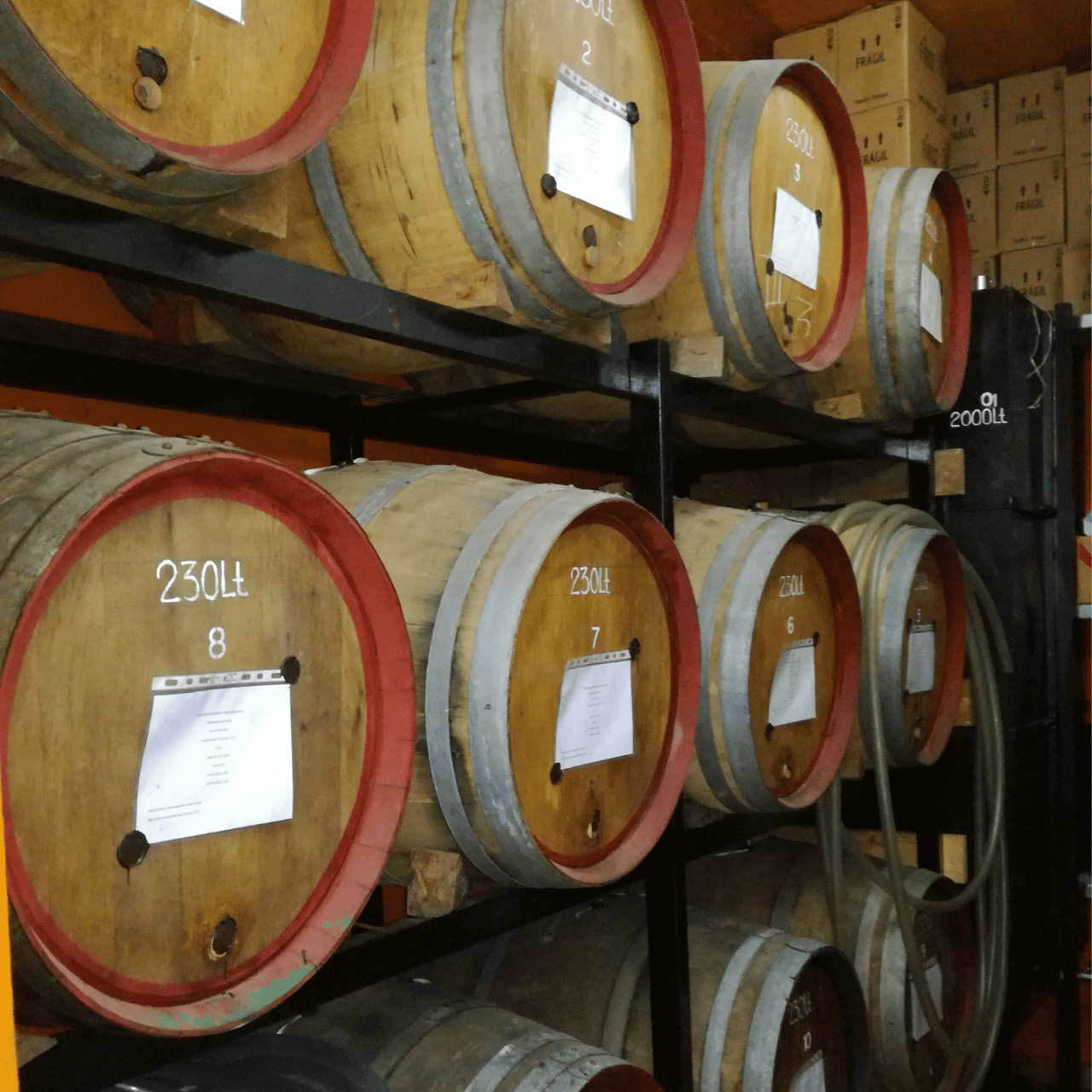 A BEGINNER'S GUIDE TO MADEIRA RUM o reizinho barrels