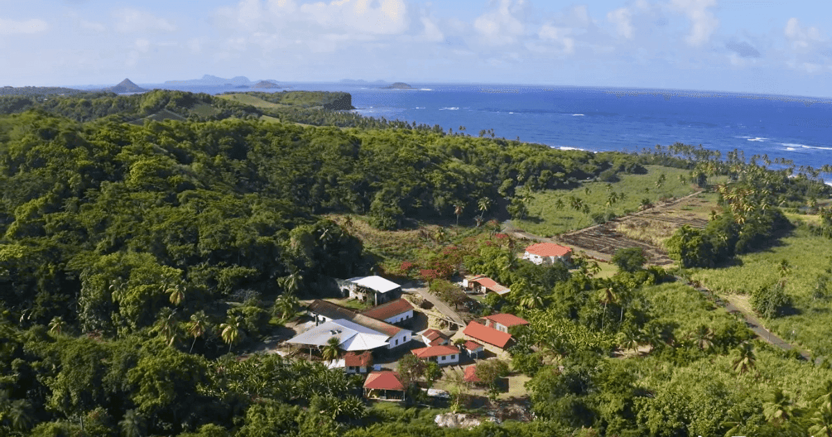RUM GUIDE TO GRENADA River Antoine estate