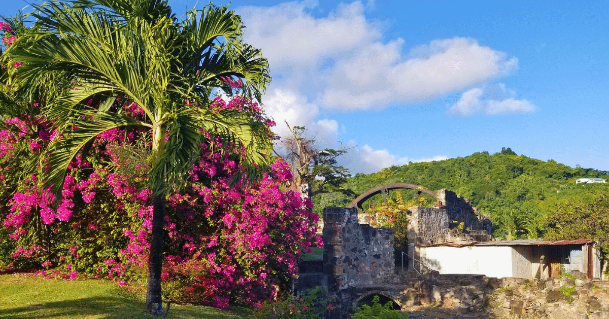 RUM GUIDE TO GRENADA westerhall