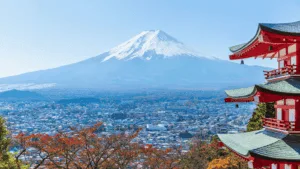 japan rum guide
