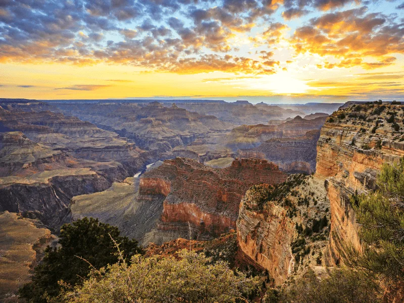 Arizona