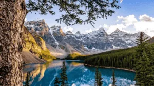 rum guide to canada