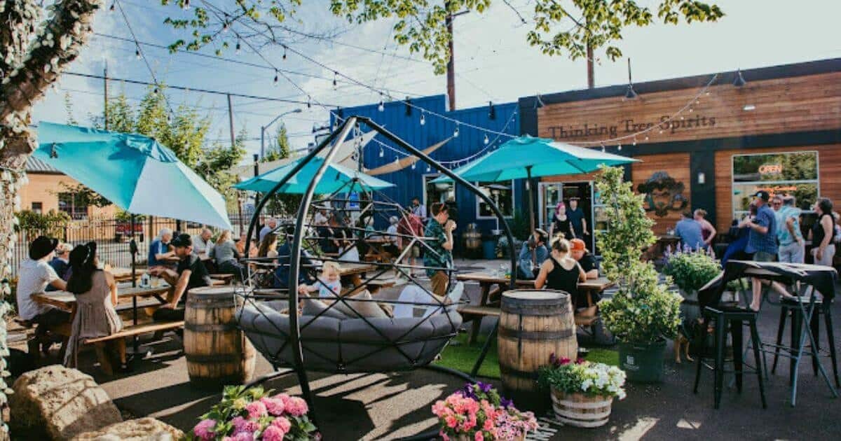 thinking tree distilling