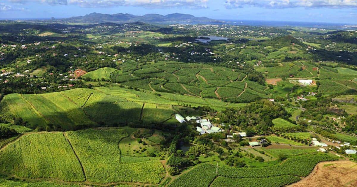 aoc-martinique