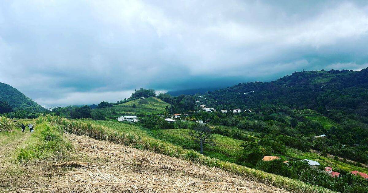 martinique rum countryside